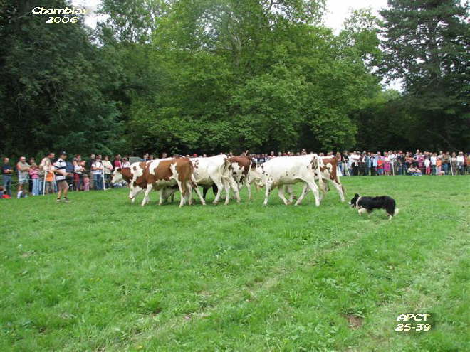 Coupe de France Chamblay 2006 105