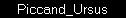 Piccand_Ursus
