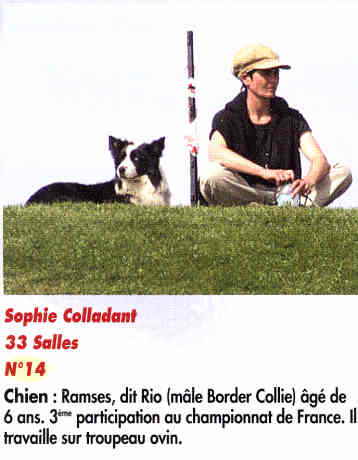 SColladant1