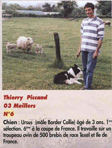 TPiccand1