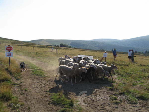 Veyrat(CB)019