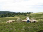 N_Fougere043