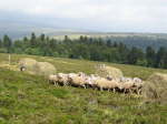 Lahaye062