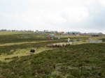 Lahaye064