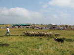 Lahaye067
