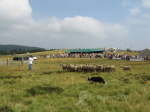 Lahaye068
