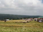 Lahaye069