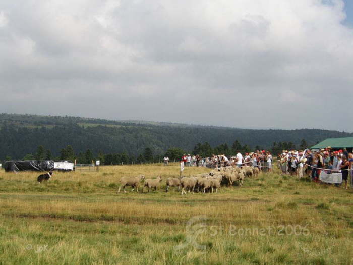 Lahaye069