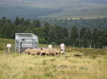Lahaye071