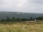 Lahaye074