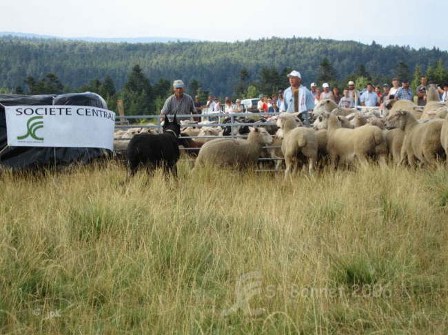 st bonnet 06 131