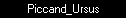 Piccand_Ursus