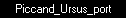 Piccand_Ursus_port