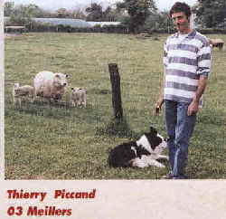 TPiccand1