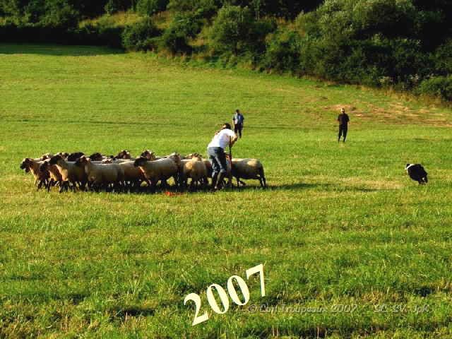 GIFT2001