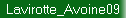 Lavirotte_Avoine09