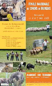 Affiche_30x50_chiens-web