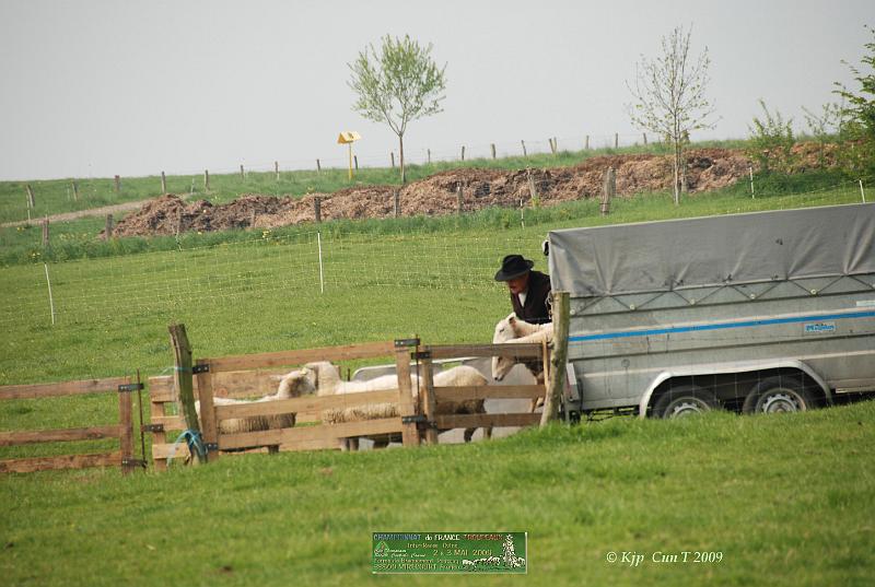 Kjp_6547w.jpg