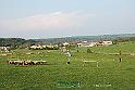 Kjp_5887w