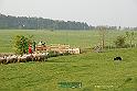 Kjp_5953w