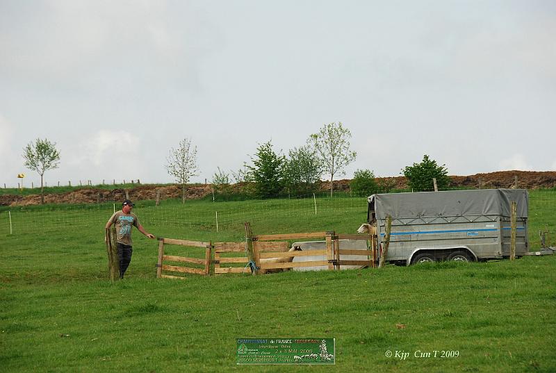 Kjp_8669w.jpg