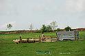 Kjp_8674w