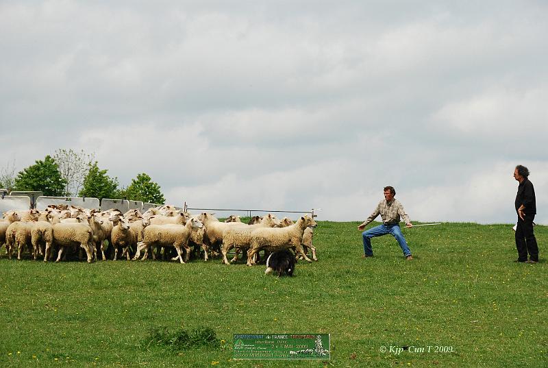 Kjp_9123w.jpg - Pour le bon déroulement du parcours, Etienne va devoir rentrer les brebis dans le parc de tri.Il faut laisser 11 brebis pour le concurrent du "petit parcours"