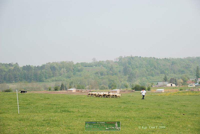Kjp_6805w.jpg