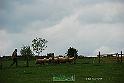 Kjp_9577w
