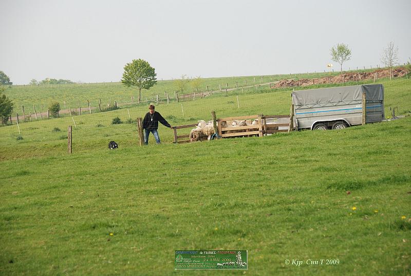 Kjp_6378w.jpg