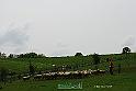 Kjp_9474w