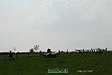 Kjp_7434w