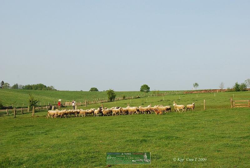 Kjp_8271w.jpg