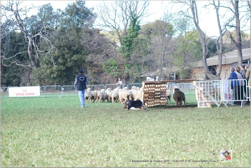 DSC_0027w-web.jpg
