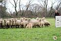 Farnoux_Reve_Samedi__0011w-web