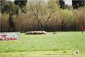 Lalande_Va_Samedi_0008w-web