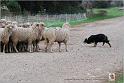 Lavirotte_Avoine_Dimanche_0031w-web