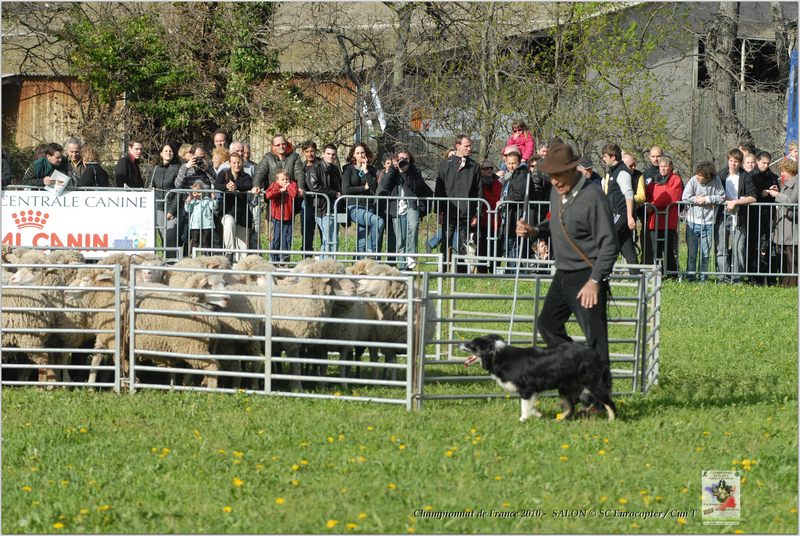 Lavirote_Avoine_Samedi_0143w-web.jpg