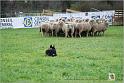 Nonnotte_Austral_Dimanche_0066w-web