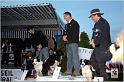 IMG_4423w-web