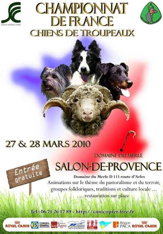 affiche-web_600.jpg