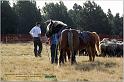 IMG_6897w