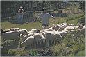 IMG_9408w