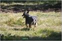 IMG_9413w