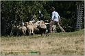 IMG_9418w