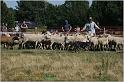 IMG_9421w