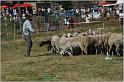 IMG_9431w