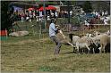 IMG_9435w
