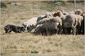 IMG_9454w