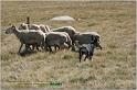 IMG_9462w